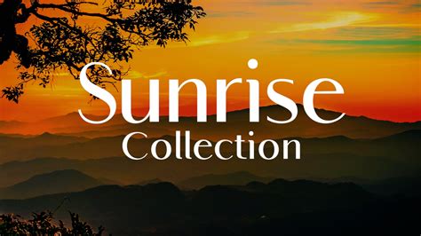 Sunrise Collection Agency