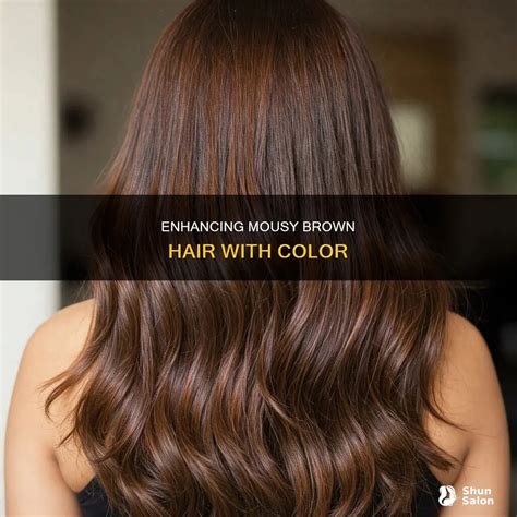 Enhancing Mousy Brown Hair With Color | ShunSalon