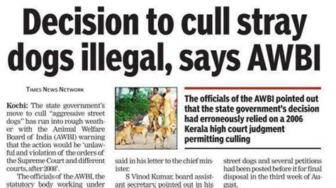 Petition · STOP: Dog culling decision of Kerala - Naresh Kadyan ...