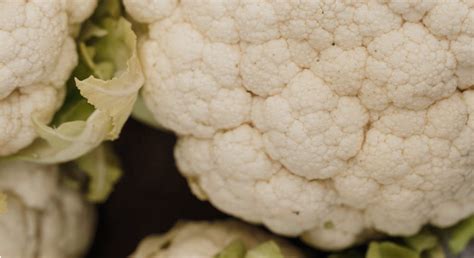 HPV - everything you need to know – Asan India