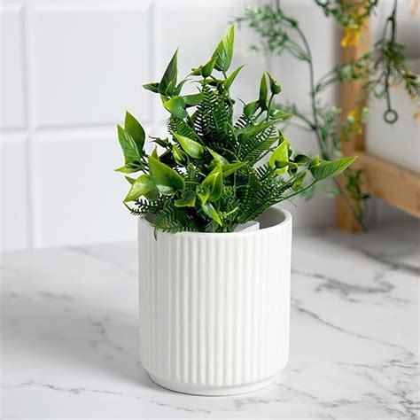 Anko White Linear Pot - Small | Ceramic Pot with Linear Design |Ideal ...