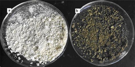 Image result for How to Analyse Extract