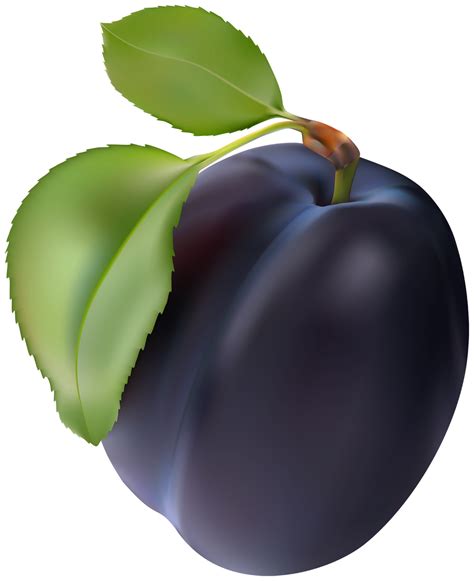 Plum 的图像结果