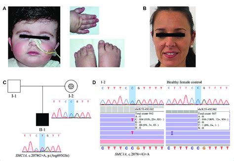 Clinic Ads 2026 March Pedigree and Confirmation Clinic