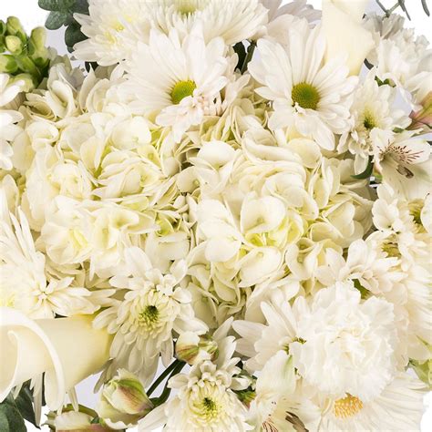 Member's Mark Premium Hydrangea, White 30 stems - Sam's Club | Wedding ...