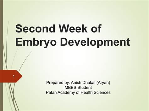 Image result for 2nd Week of Development