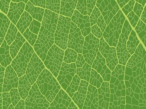 Image result for Tree Leaf Pattern