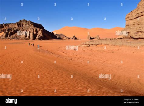 Image result for Database Testing Animation