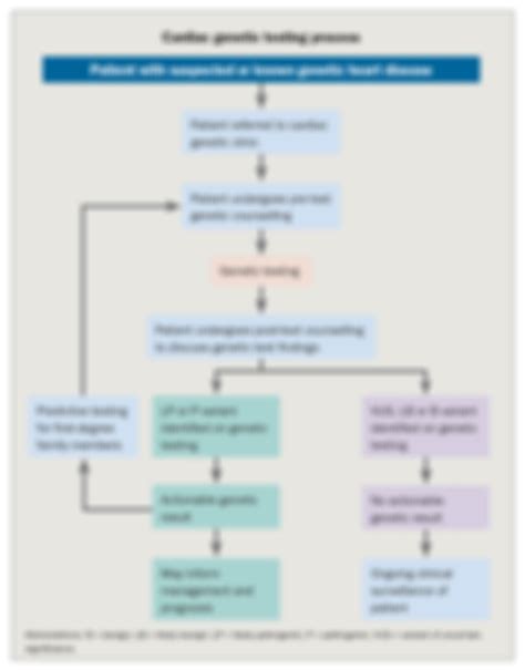 Predictive Testing 的图像结果
