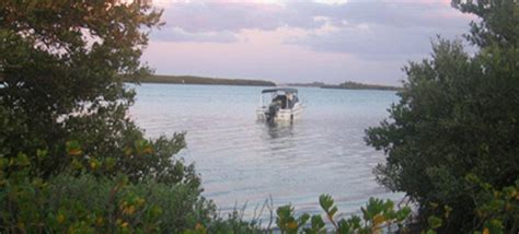 Image result for Where Is Shell Key Florida