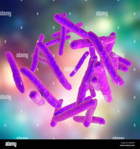 Tuberculosis bacteria. Computer artwork of Mycobacterium tuberculosis ...