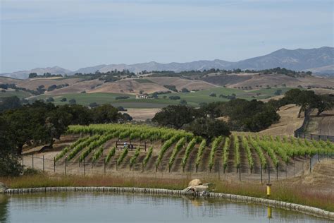 Santa Ynez Wine Trail - Santa Barbara County Vintners