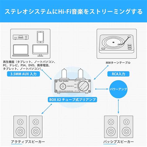 Buy Fosi Audio Box X2 Preamp MM Turntable 6A2 Vacuum Tube Phono Preamp ...