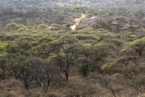 Ecorregiones - Biodiversidad