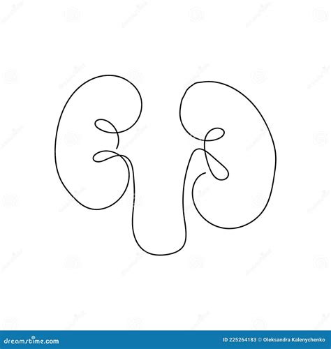 Human Kidneys with Ureters One Line Art. Continuous Line Drawing of Human, Internal, Organs ...
