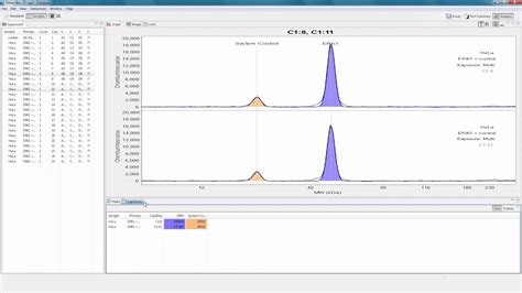 Image result for Compass Software ProteinSimple