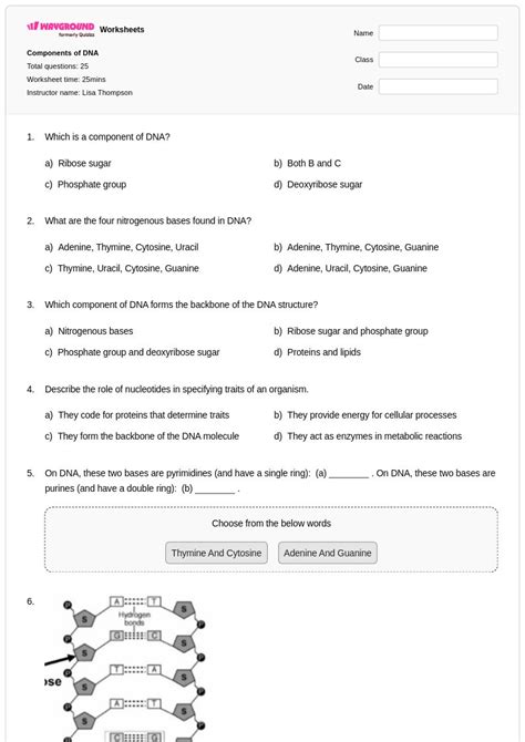 50+ DNA Structure and Replication worksheets for Class 12 on Wayground ...