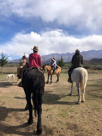 Cabalgatas Relincho (Los Arboles) - 2021 What to Know Before You Go ...