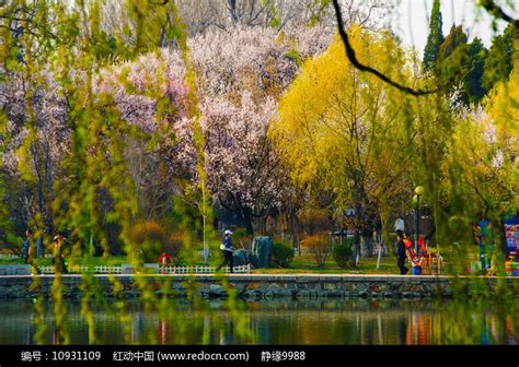 鞍山二一九公园的湖对岸的树林高清图片下载_红动中国