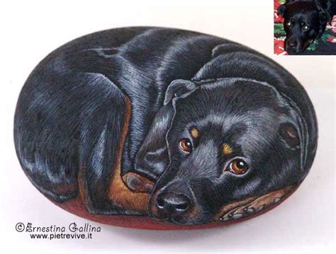 Rock Painting Dogs 的图像结果
