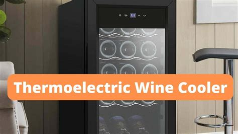 10 Best Thermoelectric Wine Coolers: Reviews and Buying Guide 2022