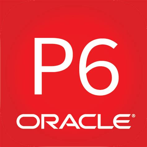 Image result for P6 Pro Oracle