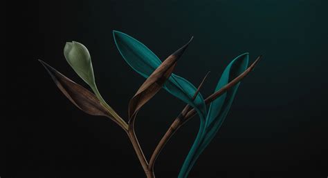 Organizational Worldview → Academic