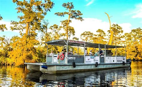 Public Eco-History Tours into the Big Thicket National Preserve to the ...