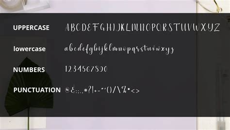 Image result for Simple Script Font