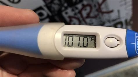 101°F Feber: Hvad betyder det for dit helbred? - MEDNOTE