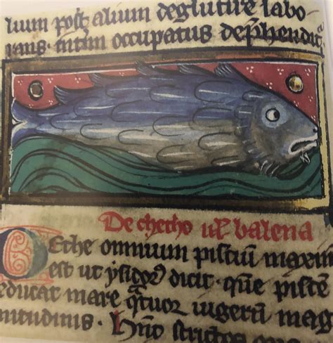 Thomas de Cantipré, Liber de natura rerum, Cambrai, circa 1285-1290 : r ...