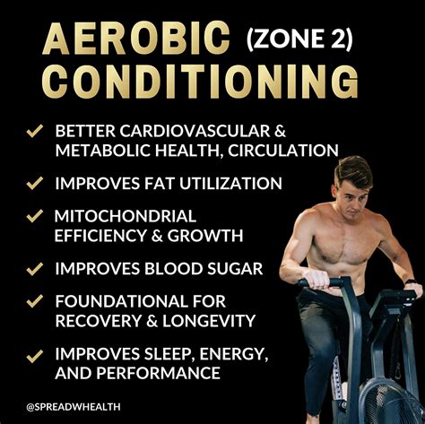 Zone 2 Cardio Examples at Robert Goldsmith blog