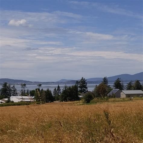 PADILLA BAY INTERPRETIVE CENTER (2026) All You Need to Know BEFORE You ...