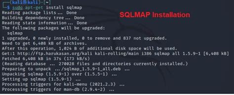 Sqlmap Tutorial Kali 的图像结果