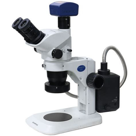 Olympus Scopes 的图像结果