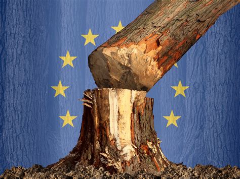 Deforestation 的图像结果