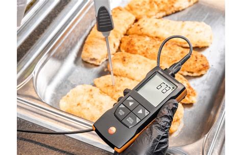 testo 110 – NTC and Pt100 temperature measuring instrument with App ...