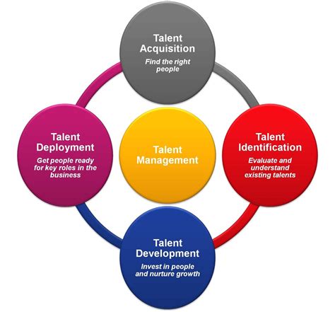 Talent Management 的图像结果