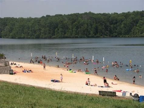 Sandy Creek Park, athens, United States Of America - Top Attractions ...