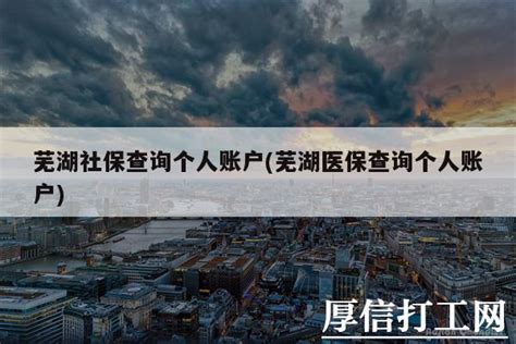 芜湖社保查询个人账户登陆入口