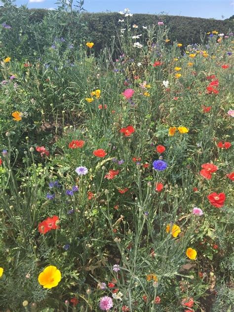 ELM COTTAGE TOURING PARK (Little Budworth) - Campground Reviews, Photos ...