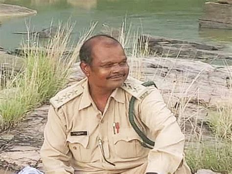 Madhya Pradesh News : पन्ना टाइगर रिजर्व में गुस्सैल हाथी ने रेंजर को ...