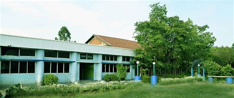 Chil Chil Global University