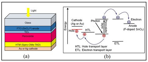 Issues, Challenges, and Future Perspectives of Perovskites for Energy ...