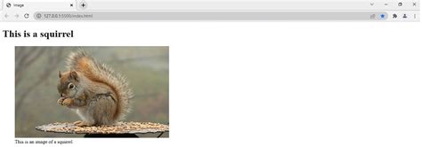 Image result for Figcaption HTML