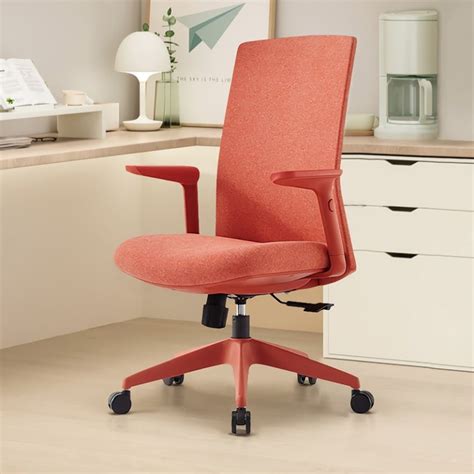 Image result for Best Computer Chair for Bad Back