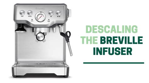 How To Descale The Breville Infuser at Jill Ford blog