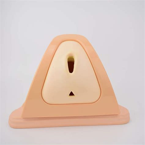 Buy NA Educational Model Perineal Incision Suture Skill Training Model ...