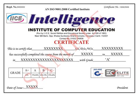 IICE INTELLIGENCE INSTITUTE OF COMPUTER