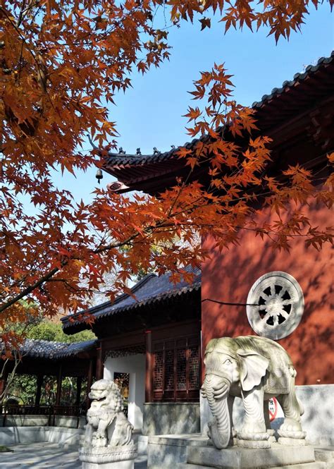 2019栖霞寺_旅游攻略_门票_地址_游记点评,南京旅游景点推荐 - 去哪儿攻略社区